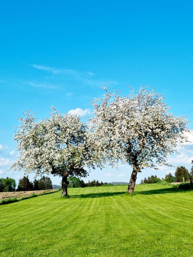 Ferienhaus Ritzmais Bischofsmais Εξωτερικό φωτογραφία